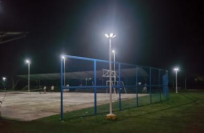 Malam yang memesona: eksportir lampu taman tenaga surya untuk lokasi perhotelan